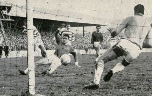 The Lions First Roar