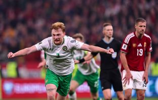 Liam Scales of Republic of Ireland celebrates