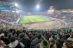 Celtic supporters at Stadio Renato Dall'Ara, Bologna.