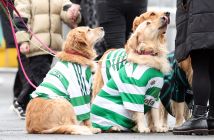 Celtic fans with their dogs are seen during the Scottish Premiership match